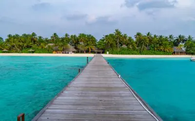 4 Reasons to Focus on Income Planning in Retirement