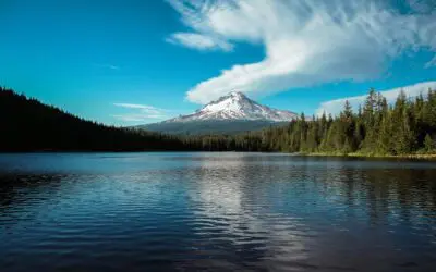 The Often Overlooked Tax-Free Living Inheritance Strategy