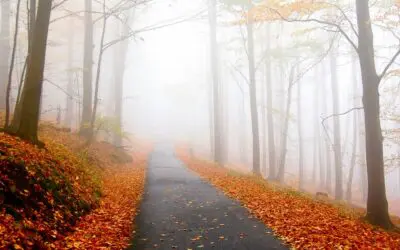 The 2 Most Important Targets for Determining Your Retirement Income Number