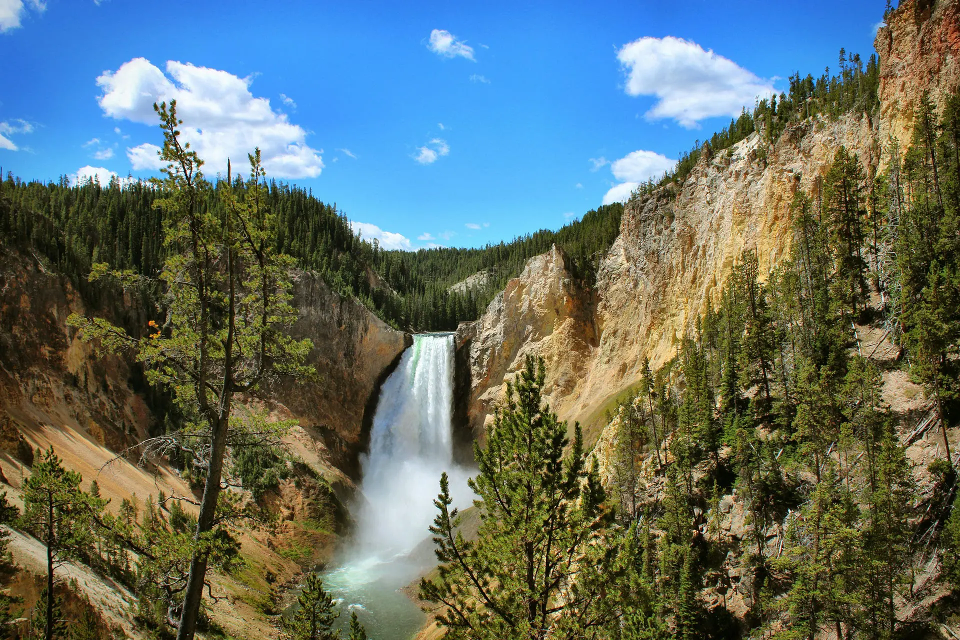 Waterfall tumbling between steep, pine‑forested canyon walls under a blue sky, evoking Colorado outdoors and the journey from college baseball to a career in financial planning focused on helping clients navigate big life transitions