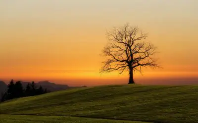 67-year-old Couple Saves 36.4% Less & Retires with $12k/month