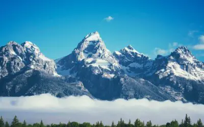 8 Smart Ways to Shield Your Portfolio From Capital Gains While Doing Roth Conversions