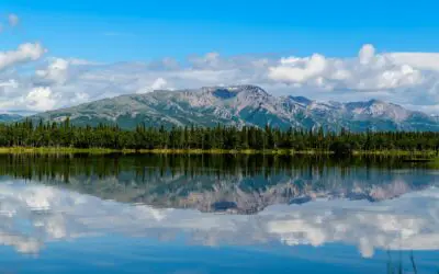 The Hidden Benefit of Safety-First Retirement Planning: A Rising Growth Portfolio Over Time