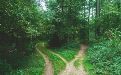 Retirees Lock in (at least) 38% More Retirement Income in 7 Years (& remove market risk)