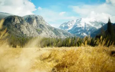 Couple Wants to Maximize Social Security Spousal Benefits (How does this work?!)