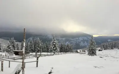 64-year-old Couple with $800k — Retire Now or Wait 3 Years?!