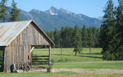 How a 62-Year-Old Couple Retired Early with $17,000/Month in Income (Without Relying Fully on the Market) 💼