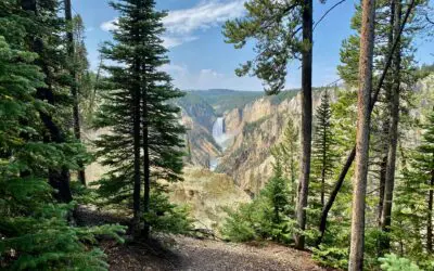 Beating the Market Isn’t the Goal: Rethinking Retirement Income