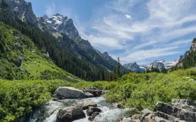 Case Study: How a 62-Year-Old Couple Used a Market-Protected Strategy to Retire with $13,000/Month (and Long-Term Flexibility)