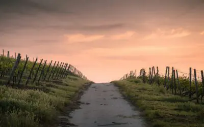 60-year-old Couple With $1.3M Wants A Guaranteed $9,000/month in 3 Years