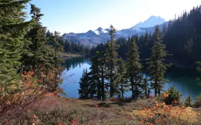 You Need a 10% Annual Return to “Beat” Social Security… So Why Not Delay and Take the Guarantee?