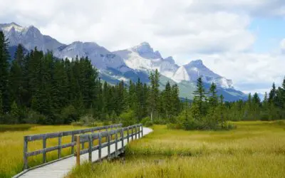 3 Powerful Ways to Optimize Social Security in Retirement