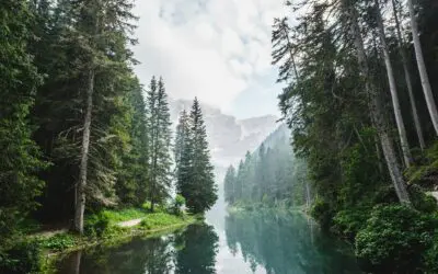 Don’t Neglect This Supplemental Social Security Income Source in Retirement