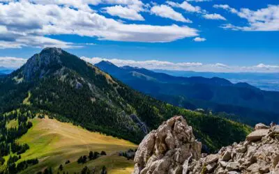 7 Uncommon (But Critical) Reasons to Consider Delaying Social Security