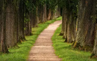 A Penalty-free, Early Retirement Strategy Without All The Complexity