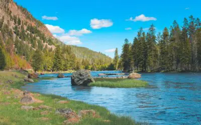 62-year-old Couple Creates $8k/month of Fixed Income for Life (with significant growth potential)‼️