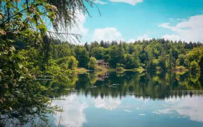 How Much Does a $1M Annuity Actually Pay?