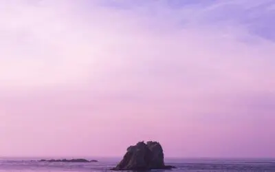 55-year-old Man Wants $12k/month of Income for Life at age 59