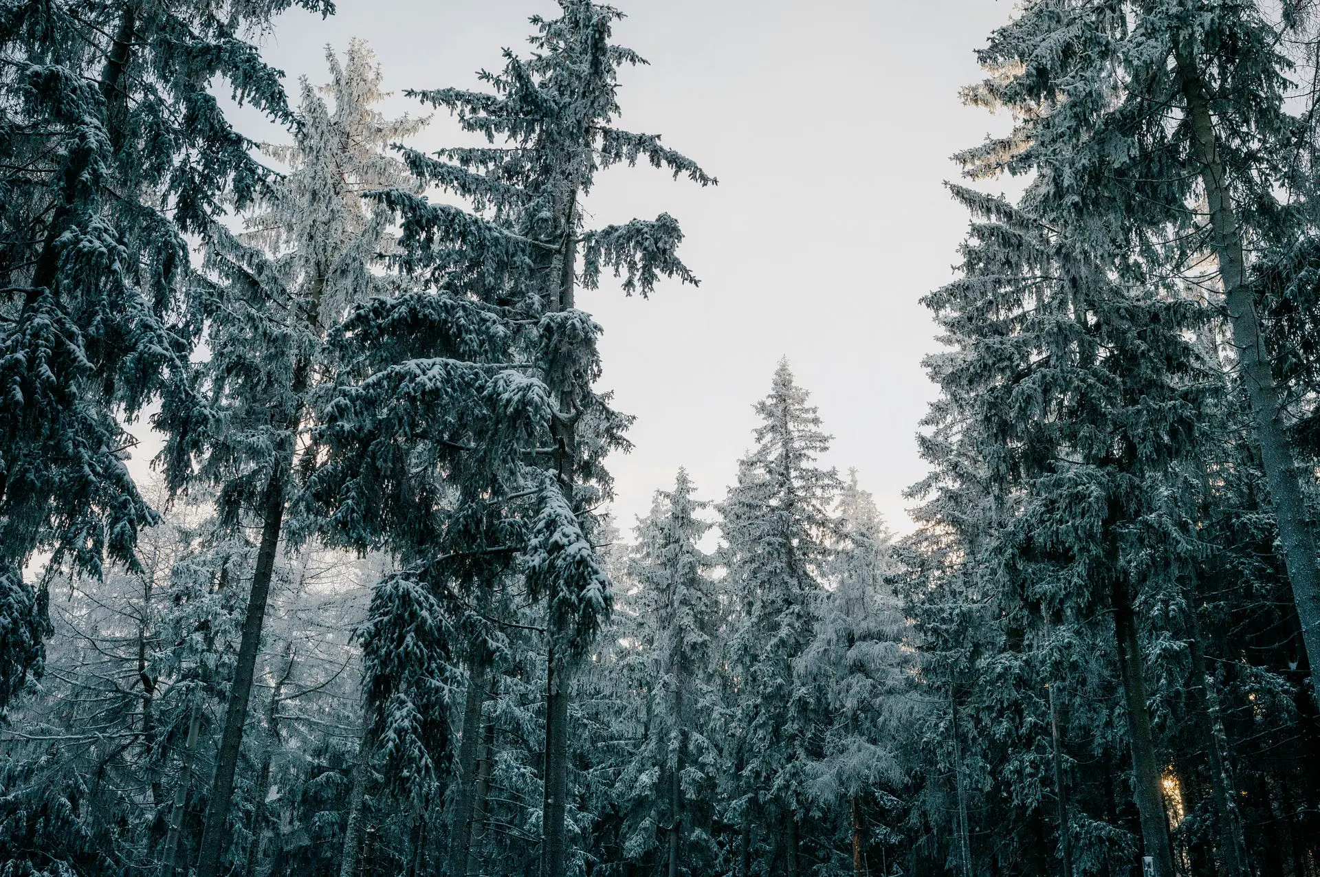 1254MKHorEtatTjTpRo-dcQ-1