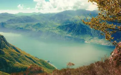 Police Officers with Pension Income Want to Minimize Taxes & Retire in 5 Years