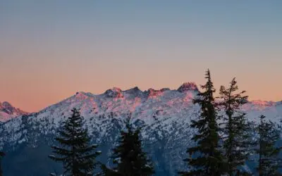 Why You Might Have to Wait Until Retirement to Position Yourself for a Tax-free Retirement