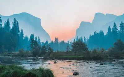 50-year-old Wants to Know How Much Tax-free Income $700k Can Provide?!