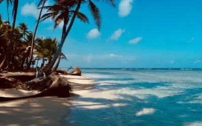 How to Create 65% More Retirement Income in 10 Years (comparing the market & income vehicles)