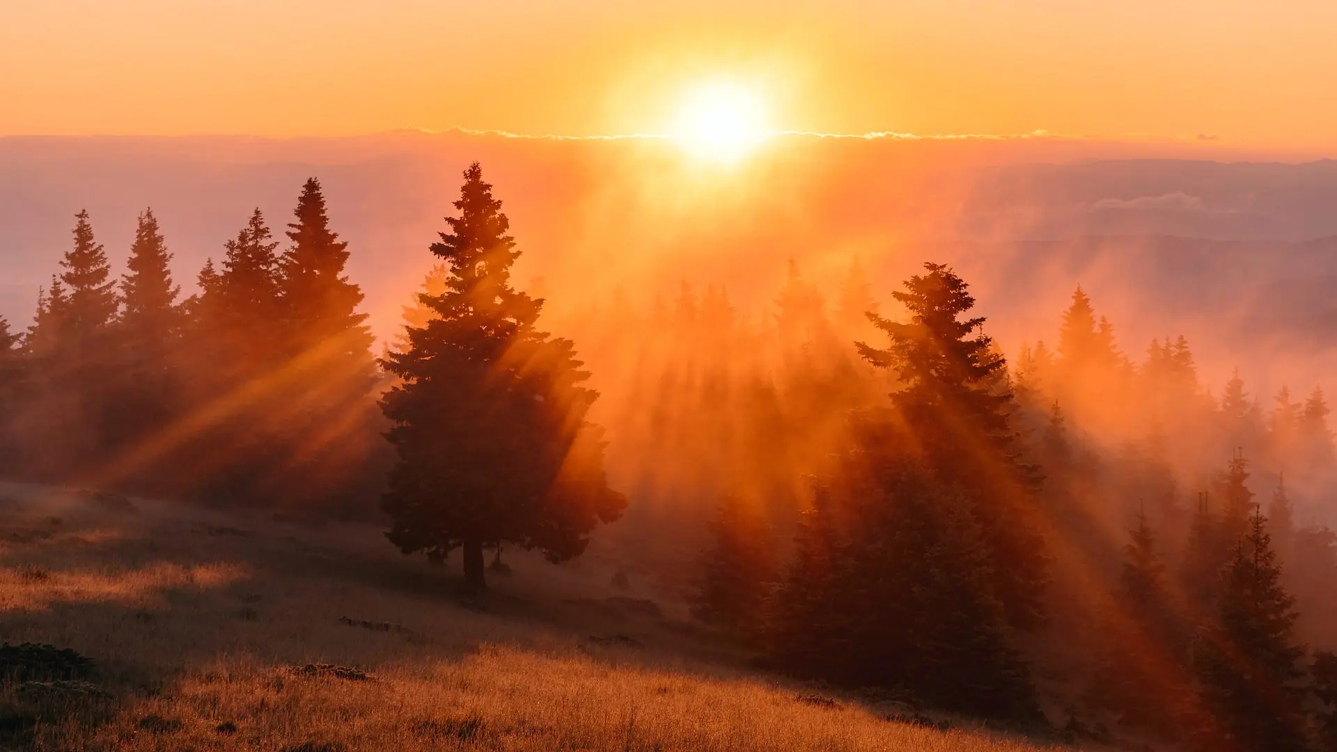 1JrfjAIQnOw8jFTRYdsUjkw-1