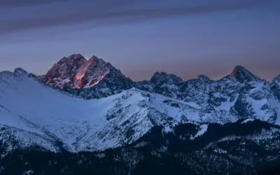 Full Analysis: Retire Immediately with $1M in Roth and Traditional IRA’s