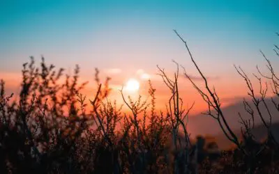 49-year-old Single Woman with $800k Wants to Retire The Second She Turns 59–1/2