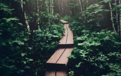 Nobody (really) Knows How Much Is In Their 401k