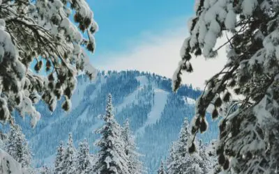 4 Tips to Minimize Taxes on Social Security in Retirement