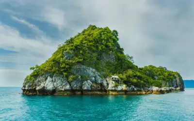 The Power of Delaying Your Social Security for a Tax-free Retirement (and your legacy goals)