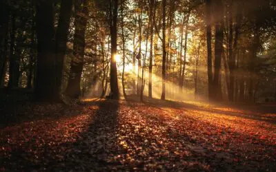 How To Collect Social Security Survivor Benefits Early (while yours continue to grow)