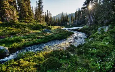 Leverage For Income + Leverage For Growth (a 2+2=5 scenario)