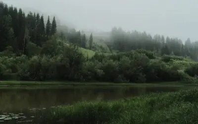 5 Tips To Increase Your Social Security Check in Retirement 😏