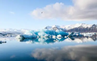 Retirement Planning: Maximize Income First, Then Minimize Taxes