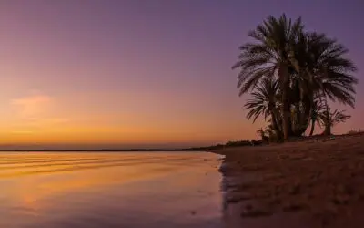 3 Reasons Why 40% of Your Retirement Money Should NOT Be Used For Fixed Income